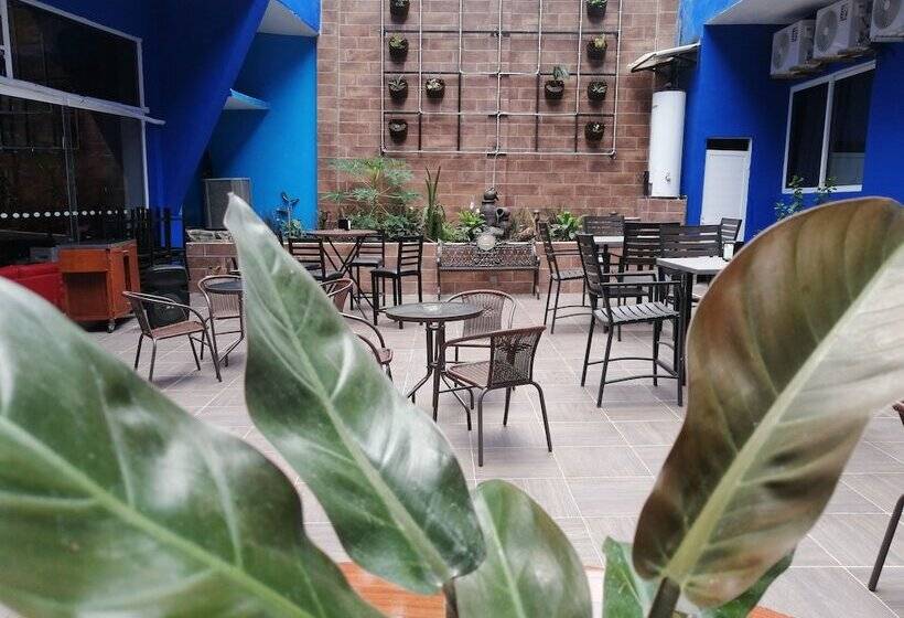 Отель Hostal Quinta Real Del Valle