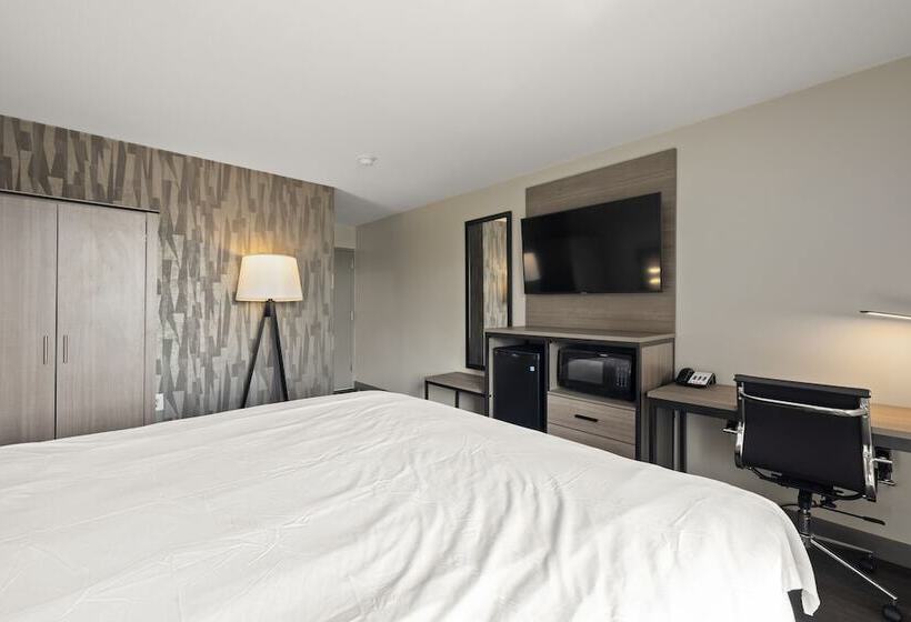 מוטל The Elmwood