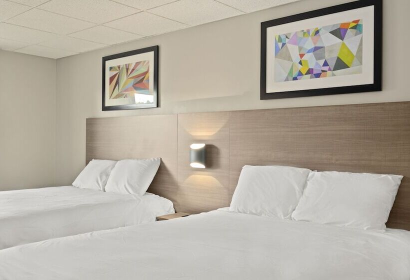 מוטל The Elmwood