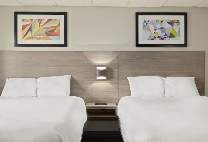 מוטל The Elmwood