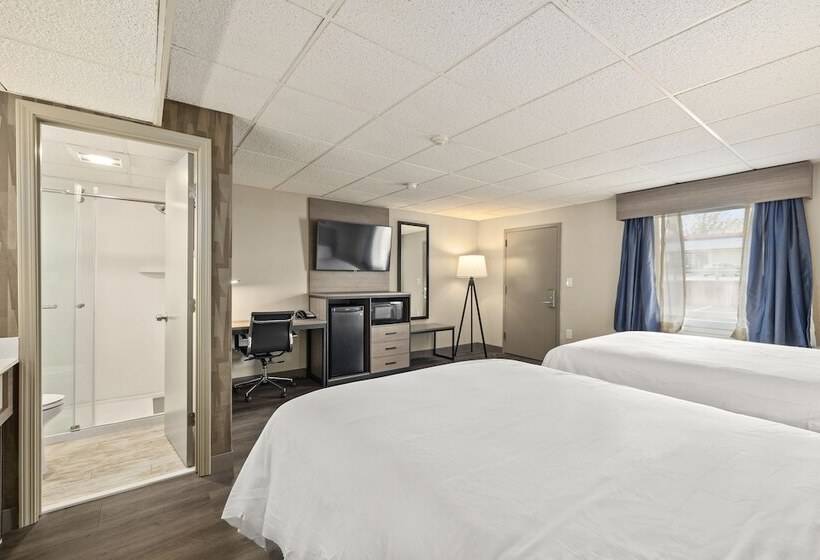 מוטל The Elmwood