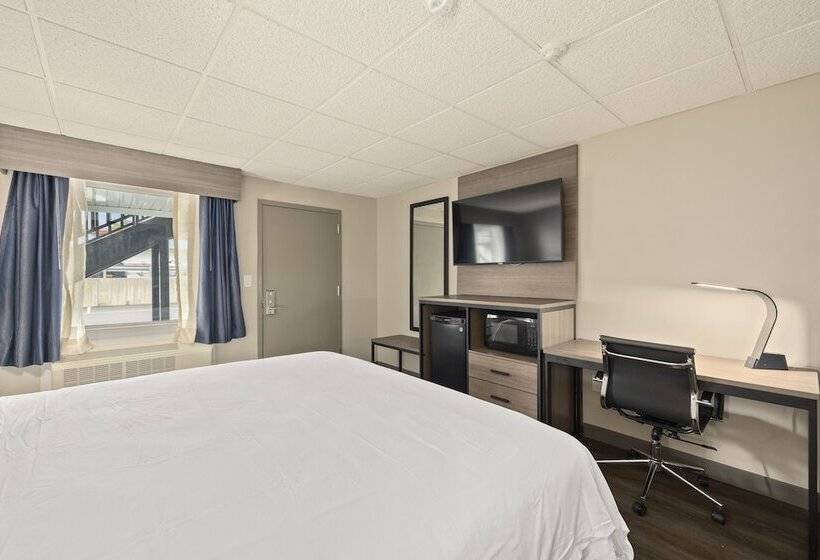 מוטל The Elmwood