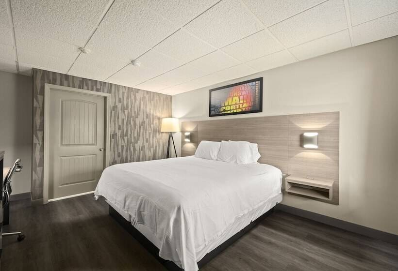 מוטל The Elmwood