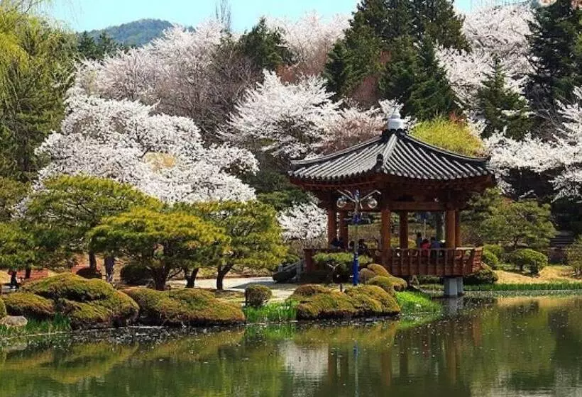 پانسیون Gyeongju Carpe Diem Bed And Breakfast