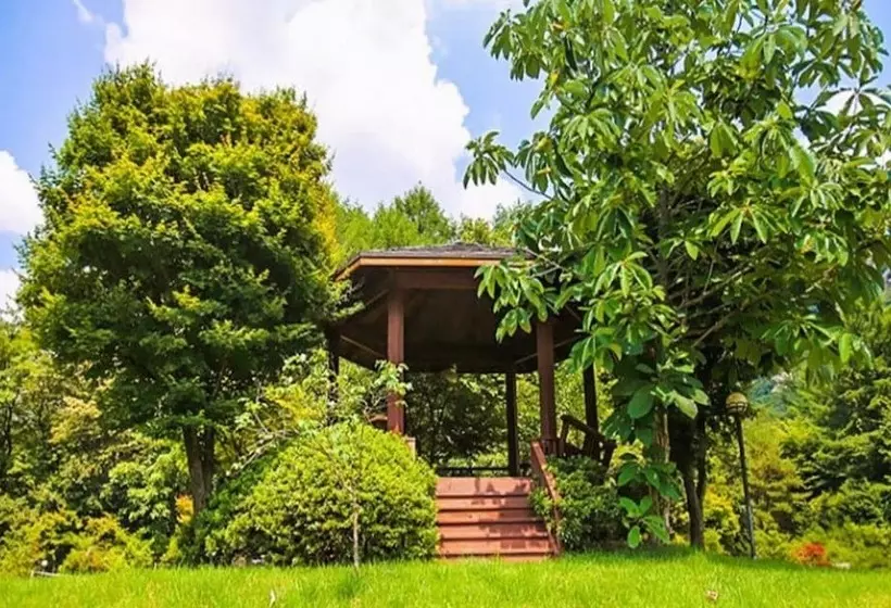 Pocheon Seohaeseong Pension