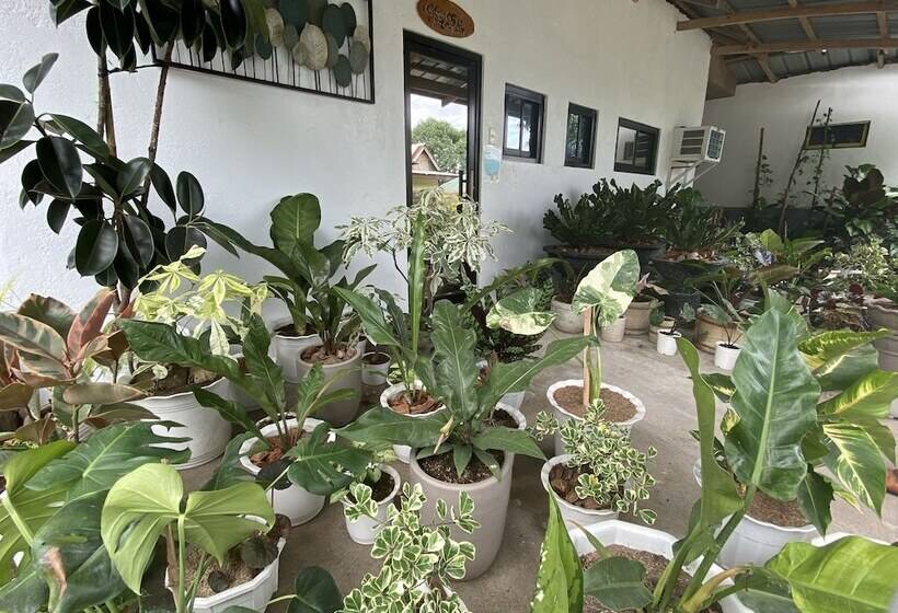 Severinas Garden Resort By Cocotel