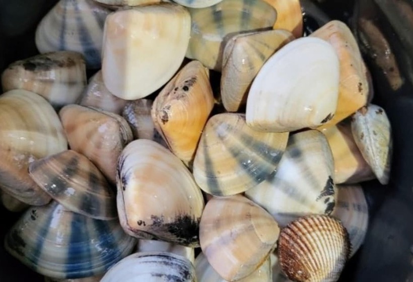 Taean Blue Sea And Pension