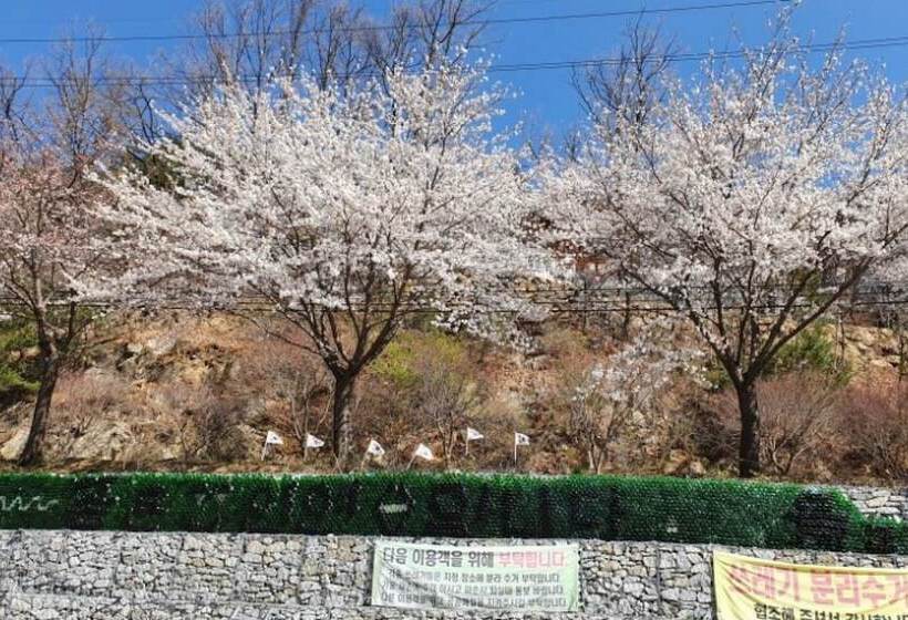 Yecheon Mulmalgeun Sangol Pension