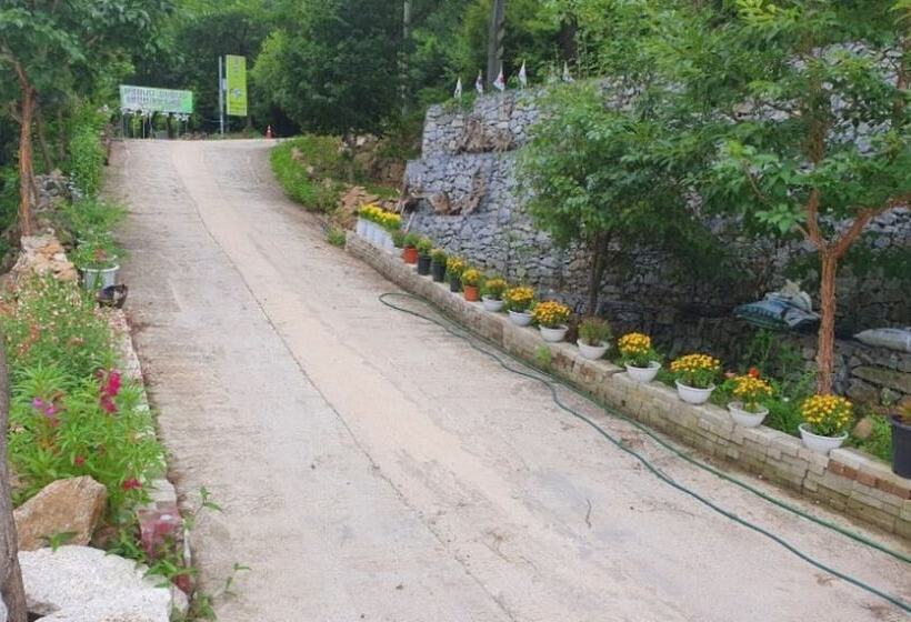 Yecheon Mulmalgeun Sangol Pension