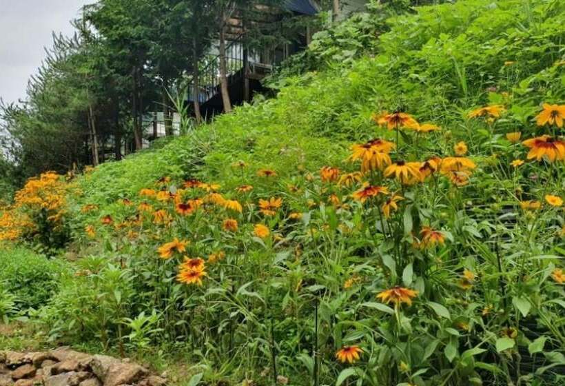 Yecheon Mulmalgeun Sangol Pension