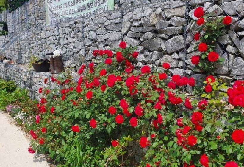 Yecheon Mulmalgeun Sangol Pension