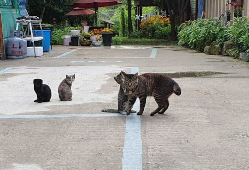 Yecheon Mulmalgeun Sangol Pension