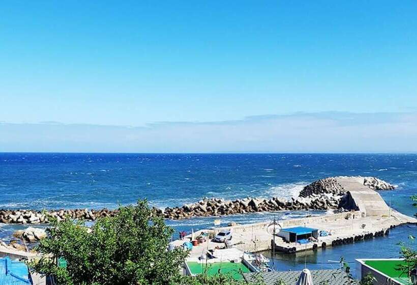 Yeongdeok Solhyanggi Pension