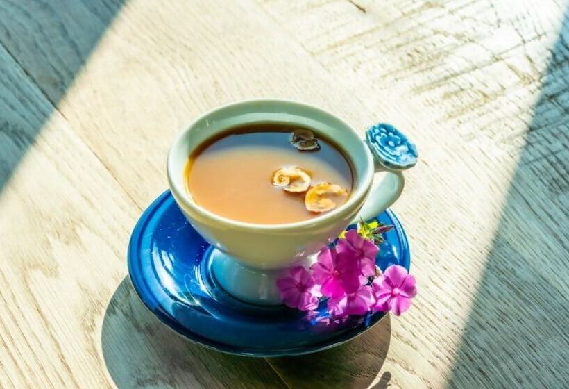 Andong Tom Sawyer S Adventure Pension