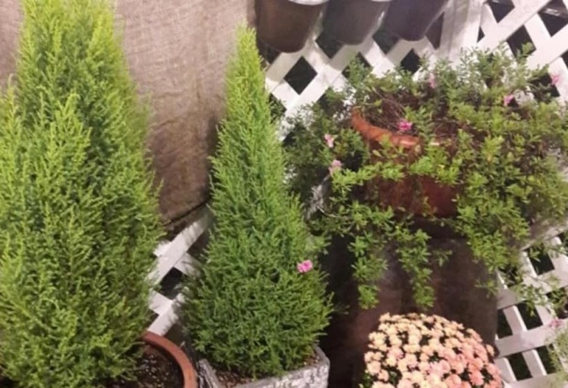 Cheongdo Bitchukje Pension