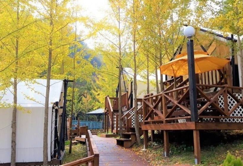 Chuncheon Yellow Hill Glamping Pension