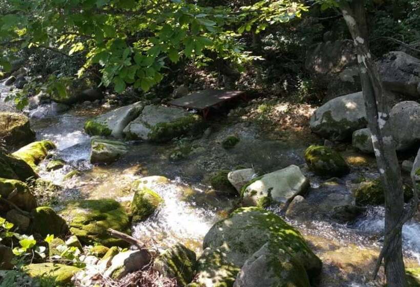 Jecheon Hakyeon Healing Pension