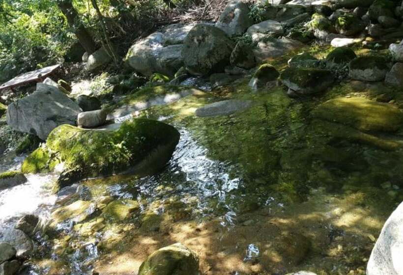 Jecheon Hakyeon Healing Pension