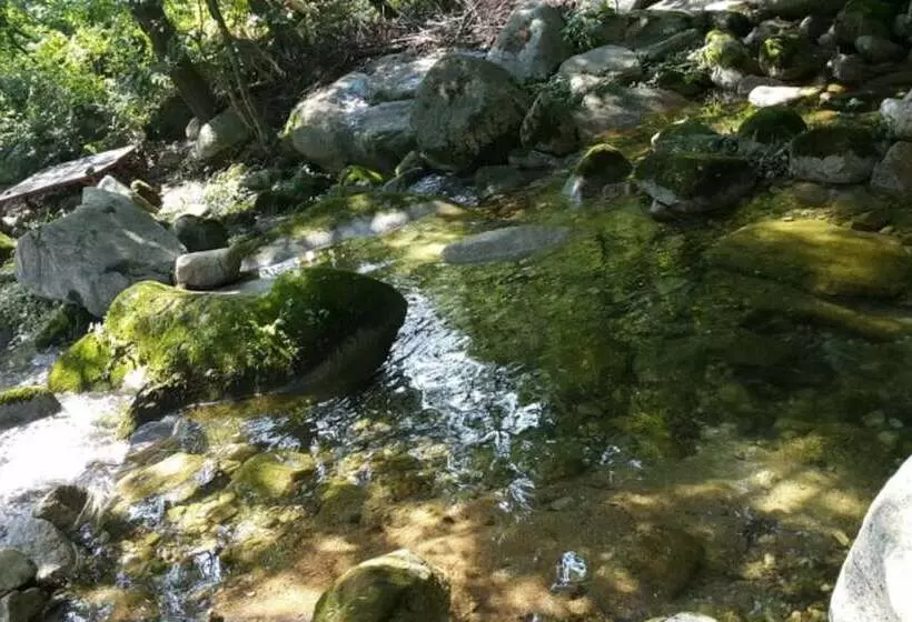 Jecheon Hakyeon Healing Pension