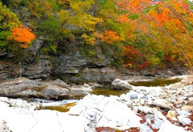 Jeongseon Daon Pension