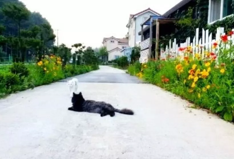 Jeongseon Daon Pension