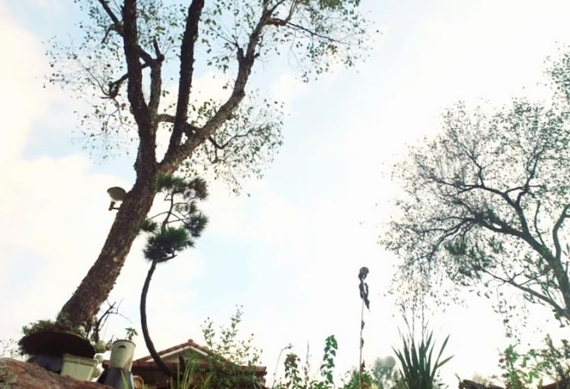 Jeongseon Daon Pension