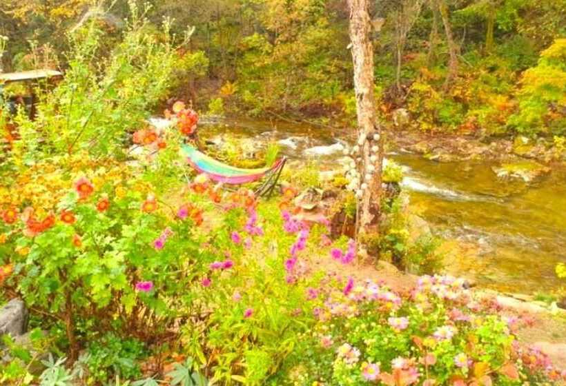 Jeongseon Daon Pension