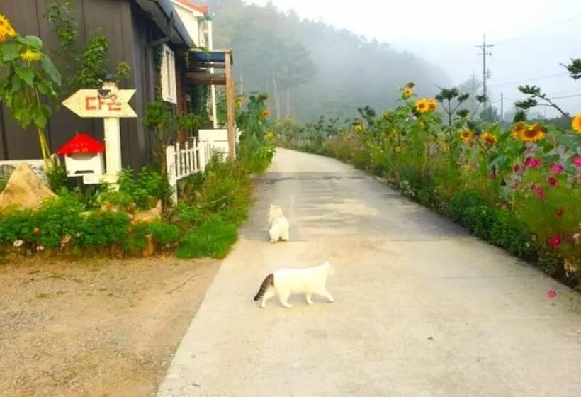 Jeongseon Daon Pension