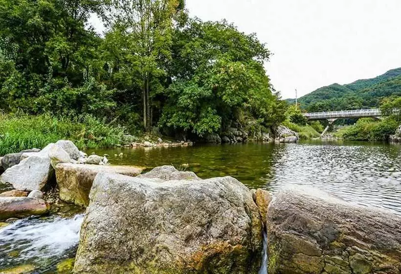 Muju Hodunamu Pension