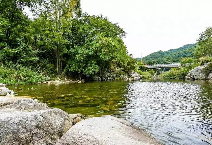 Muju Hodunamu Pension