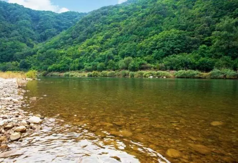 پانسیون Danyang Pine Caravan Camping