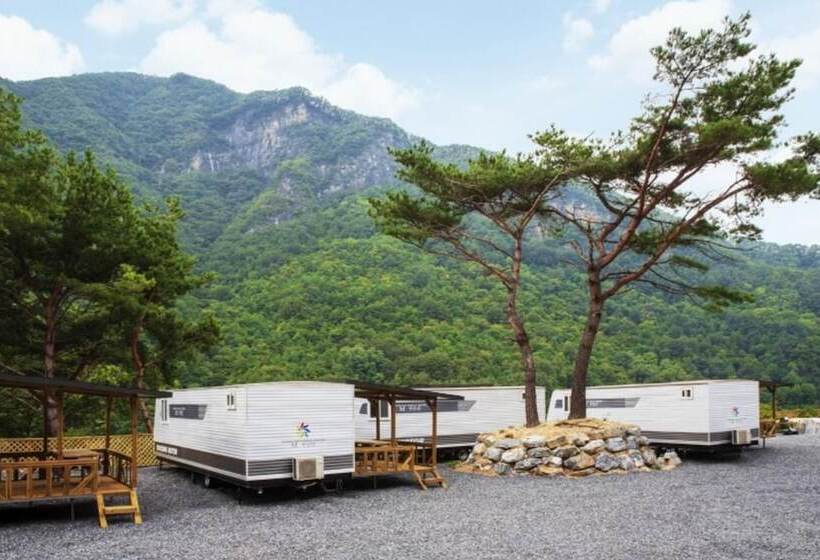 Pensão Danyang Pine Caravan Camping