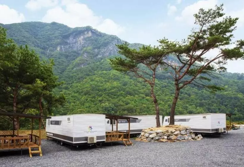 پانسیون Danyang Pine Caravan Camping