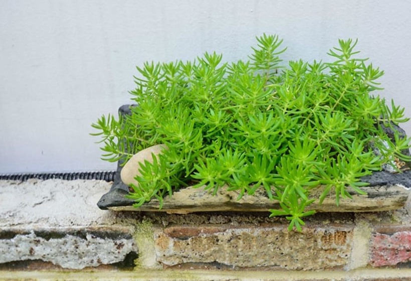 Pensão Jeonju Good Day Hanok Stay