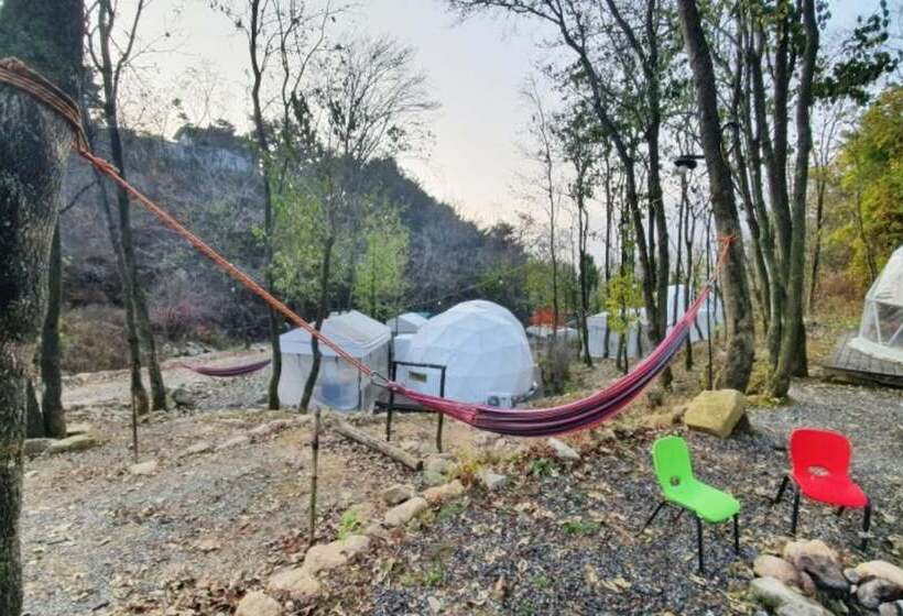 ペンション Hapcheon Glamping Story