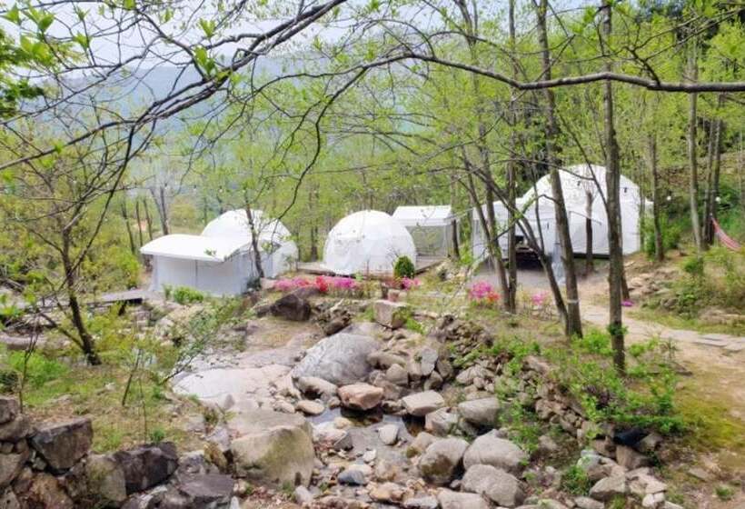 ペンション Hapcheon Glamping Story