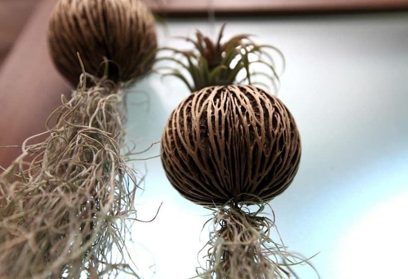 פנסיון Jeju Ever Guest House