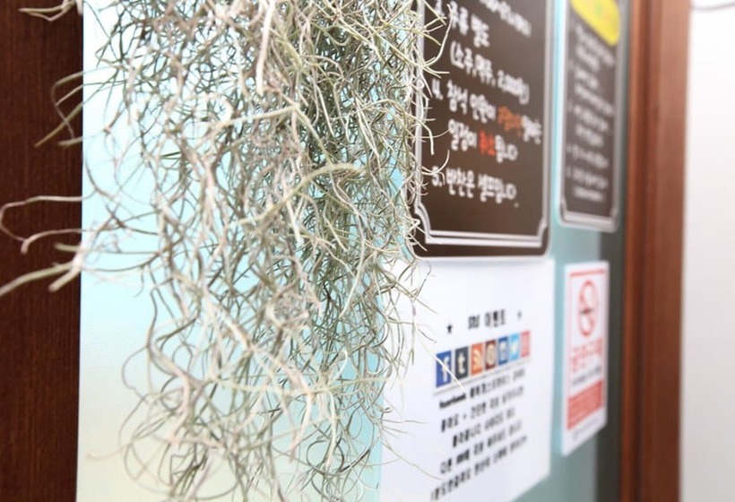 פנסיון Jeju Ever Guest House