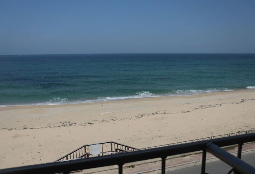 Pensió Yangyang Surf Lab