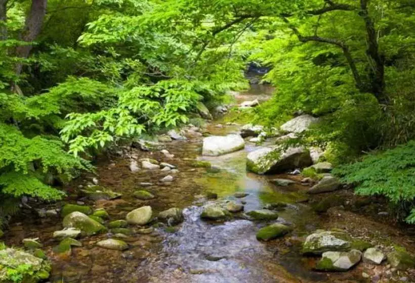 Pension Yangpyeong Lake Cabins