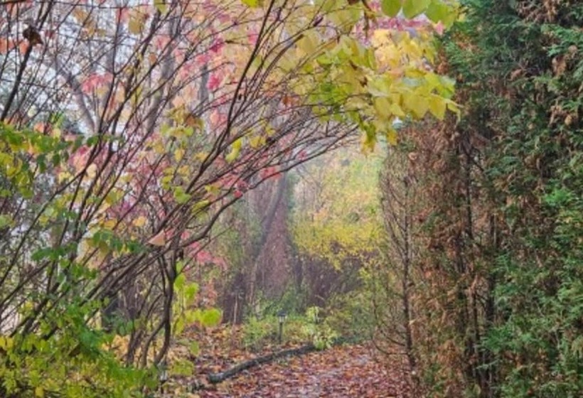 Pocheon Hanullzip Pension