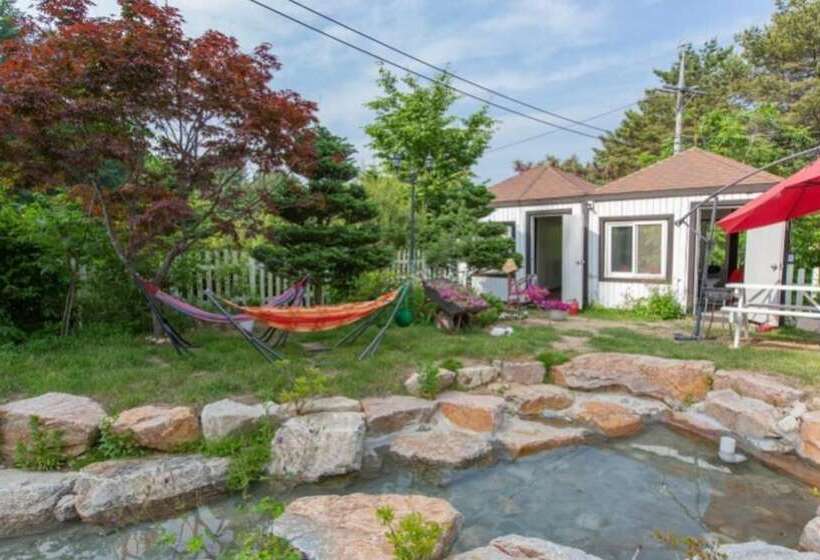 Pyeongchang Healing Hasigae Dog Pension