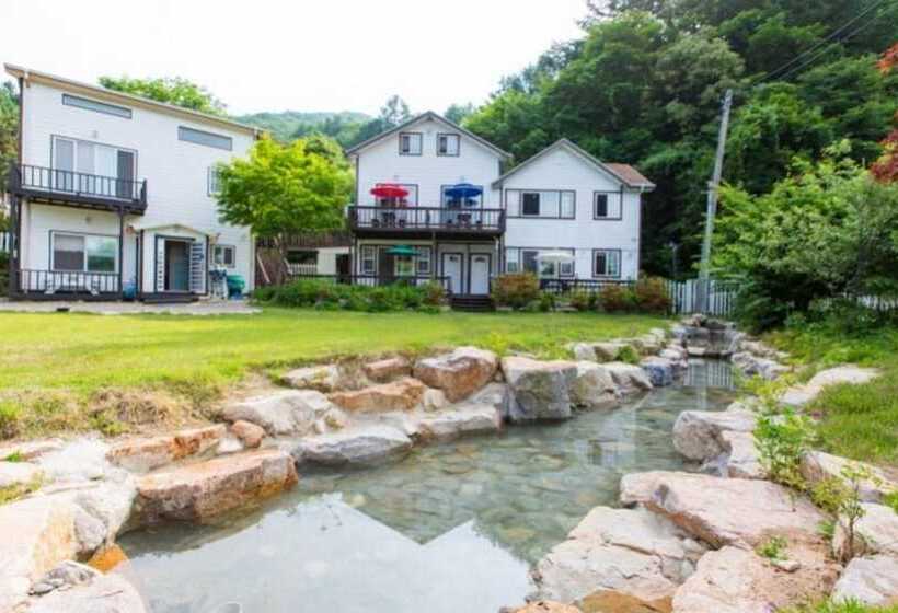 Pyeongchang Healing Hasigae Dog Pension