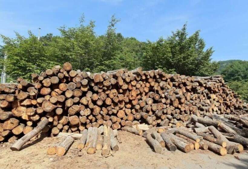 Seongju Saeyang Pension