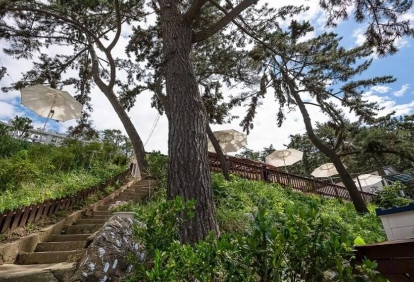 Taean Manripo Picnic Pension