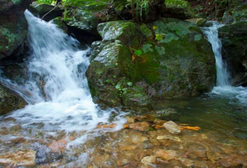 Yangpyeong Terra Pension