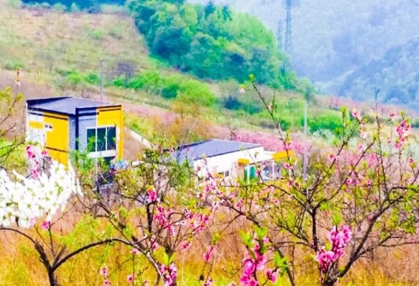 Yeongwol Patronus Pension