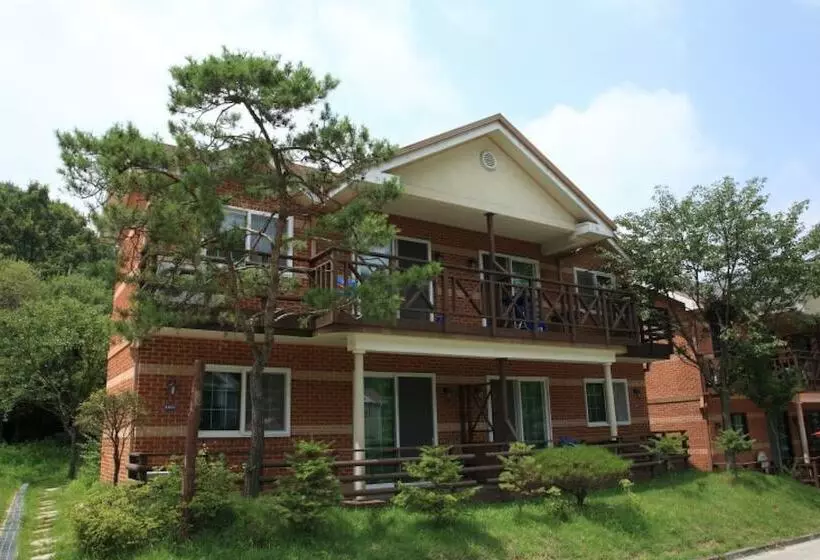 Yong Maple Pension