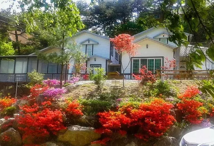 Yong Maple Pension