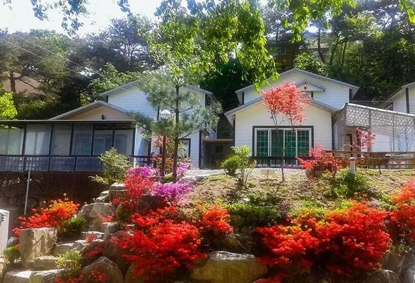 Yong Maple Pension